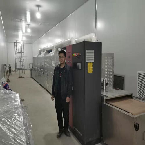 亞麻籽微波熟化殺菌設備 時間短、烘烤均勻的環(huán)保科技新突破